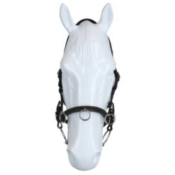 F.R.A. Kapzaum Keto Leder Schwarz -Waldhausen Verkaufe agradi 44874831 3.7b35c0