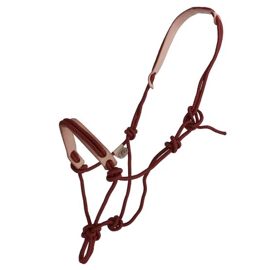 F.R.A. Reit- Ausbildungshalfte Pablo Profi Syst 5 Ruchi Collection Nylon/Leder Grün/Rot Pony 3 F.R.A. Reit- Ausbildungshalfte Pablo Profi Syst 5 Ruchi Collection Nylon/Leder Grün/Rot Pony