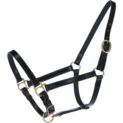 HB Fohlenhalfter Leder Weiß -Waldhausen Verkaufe agradi 44906446 1.efaf59 1