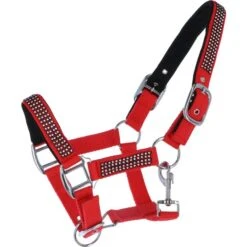 HB Halfter Diamonds Collection Royal Blue -Waldhausen Verkaufe agradi 44906540 1.49cf26 3