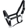 HB Halfter Diamonds Collection Schwarz -Waldhausen Verkaufe agradi 44906548 1.ff521c 2