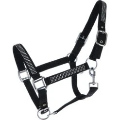 HB Halfter Diamonds Collection Lila -Waldhausen Verkaufe agradi 44906548 1.ff521c