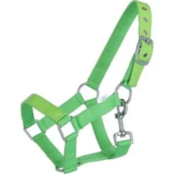 HB Halfter Shine Lack Rosa Mini Shetland -Waldhausen Verkaufe agradi 44906553 1.d74603