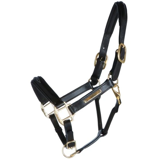 HB Showtime Halfter Horse Name Leder Braun 3 HB Showtime Halfter Horse Name Leder Braun