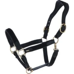 Mrs. Ros Halfter Deluxe Schwarz Warmblut