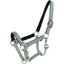 EQUITHÈME Halfter Air Denim Blau -Waldhausen Verkaufe agradi 44965375 1.369fae