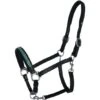 Norton Halfter Pro Diadème Leder Schwarz Warmblut -Waldhausen Verkaufe agradi 44965408 1.b3042e