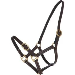 Norton Halfter Club Leder Havanna