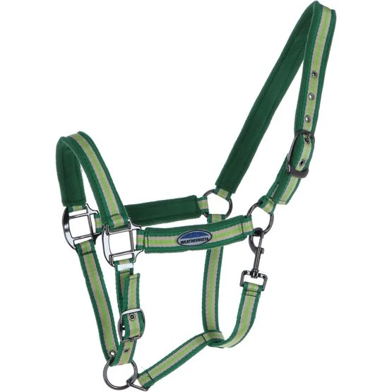 Weatherbeeta Halfter Coordinate Dunkelgrün/Tan/Hellgrün Pony 3 Weatherbeeta Halfter Coordinate Dunkelgrün/Tan/Hellgrün Pony