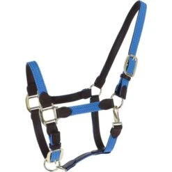 Kentucky Horsewear Kentucky Halfter Plaited Nylon Grau 34 Kentucky Horsewear Kentucky Halfter Plaited Nylon Grau -Waldhausen Verkaufe agradi 45028521 1.b0fcce