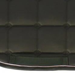 Harry's Horse Schabracke Denici Cavalli Bosque Dressur Armeegrün Warmblut -Waldhausen Verkaufe agradi 45086188 4.c92198 1