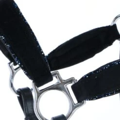 HB Halfter Showtime Velvet Little Sizes Schwarz/Navy Funkeln -Waldhausen Verkaufe agradi 45124174 2.d01863