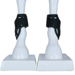 Harry's Horse Streichkappen Protech Weiß Warmblut -Waldhausen Verkaufe agradi a1113206 3.df0821 1