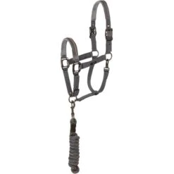 ANKY Halfterset Stones Rostbraun -Waldhausen Verkaufe anky a43234 b075 01.2ea2e0