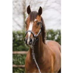 ANKY Halfterset Stones Rostbraun -Waldhausen Verkaufe anky a43234 b075 41.70a421