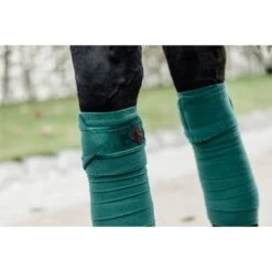 Kentucky Horsewear Kentucky Bandagen Polar Fleece Velvet Smaragdgrün Warmblut -Waldhausen Verkaufe bandagesvelvetl groen.71a477 1
