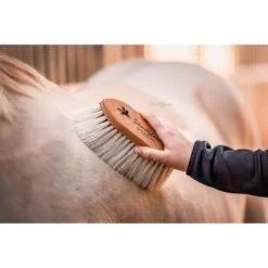 Bense & Eicke Wurzelbürste SchmutzLiese -Waldhausen Verkaufe be 1625 benseundeicke wurzelburste schmutzliese 1.961da6