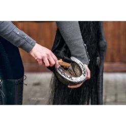 Bense & Eicke Hufkratzer KratzeKarl -Waldhausen Verkaufe be 1640 benseundeicke hufauskratzer kratzekarl 2.505c70