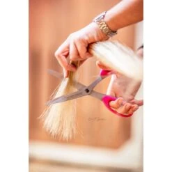 Bense & Eicke Schere SchnittBerta -Waldhausen Verkaufe be 1655 benseundeicke schweifschere schnittberta 2.b96af4