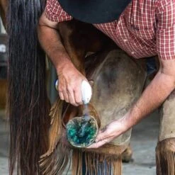 Vetericyn Hoof Care Spray 237ml -Waldhausen Verkaufe bestia 2582616313.a9eadc