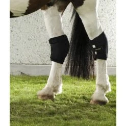 Back On Track Sprunggelenkschoner Rechts Schwarz -Waldhausen Verkaufe bot 20152016 hock brace.af2901