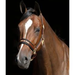 Back On Track Halfter Werano Schwarz/Reflective -Waldhausen Verkaufe bot 2064weranohalterbrownweb10 1000x.2906ee 1