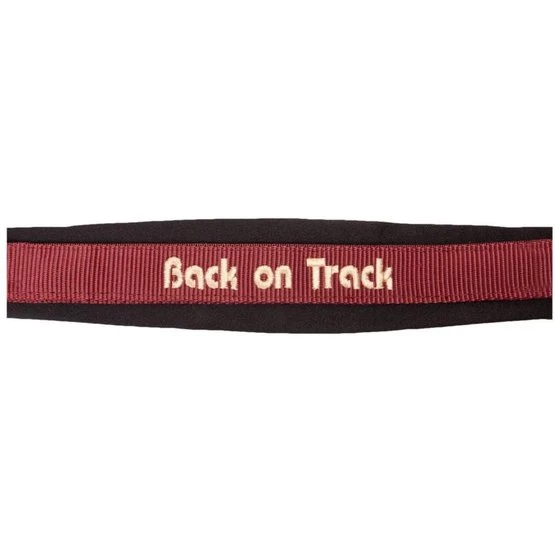 Back On Track Halfter Werano Schwarz 10 Back On Track Halfter Werano Schwarz – Bild 8