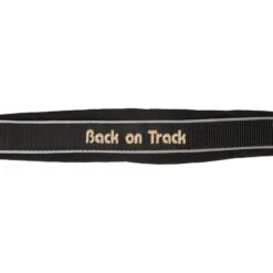 Back On Track Halfter Werano Schwarz/Reflective -Waldhausen Verkaufe bot 2068weranoreflectivehalter02web 1000x.8cf6ad