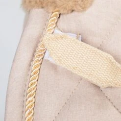 Back On Track Schabracke Haze Springen Hell Beige Warmblut -Waldhausen Verkaufe bot 2352 cream haze sp d web 6 1000x.5a0f24