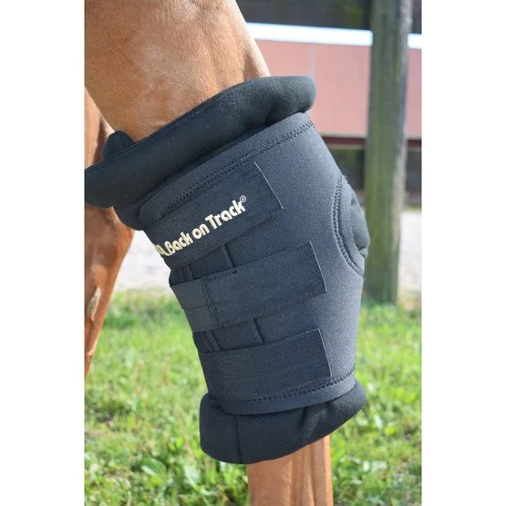 Back On Track Sprunggelenkschoner Royal Schwarz 4 Back On Track Sprunggelenkschoner Royal Schwarz – Bild 2