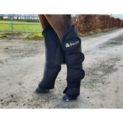 Bucas Transportgamaschen Boots 2020 Schwarz Vollblut -Waldhausen Verkaufe bucas 2020 boots rear 151518.327bd1