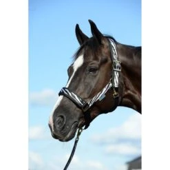 Bucas Halfter Comfort Schwarz -Waldhausen Verkaufe bucas comfort halter zebra 0857.024cff 1