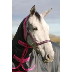 Bucas Halfter Dublin Schwarz -Waldhausen Verkaufe bucas dublin halter 412 p5374.dfbf5a 3