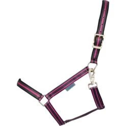 Bucas Halfter Dublin Schwarz -Waldhausen Verkaufe bucas dublin halter charcoal 412 p2630.4ad661 3