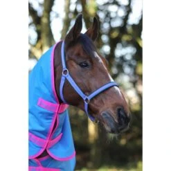 Bucas Halfter Dublin Kohle -Waldhausen Verkaufe bucas dublin halter denim 412 p5351.e9397d 1