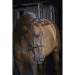 Catago Lederhalfter Navy -Waldhausen Verkaufe cat 41412001 1.533687 1