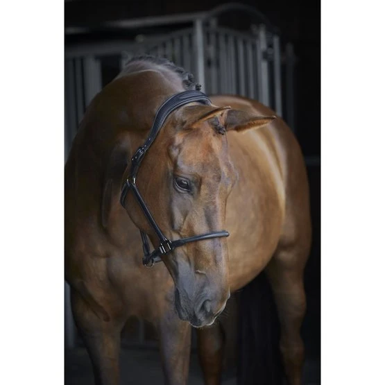 Catago Lederhalfter Schwarz 4 Catago Lederhalfter Schwarz – Bild 2