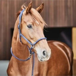 Catago Lederhalfter Navy -Waldhausen Verkaufe catago 41412014 3.34aed4 1