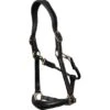 Dyon Halfter Leder Schwarz -Waldhausen Verkaufe dyon dy09abl.9dcf21
