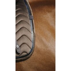 EQUITHÈME Schabracke Glossy Springen Himbeere Warmblut -Waldhausen Verkaufe ekkia 204 761 004 ambi2.df9236 4