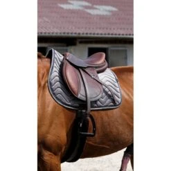 EQUITHÈME Schabracke Glossy Springen Violett Warmblut -Waldhausen Verkaufe ekkia 204 761 011 ambi1.3adc7a 2