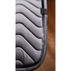 EQUITHÈME Schabracke Glossy Springen Violett Warmblut -Waldhausen Verkaufe ekkia 204 761 011 ambi3.7894a6 2