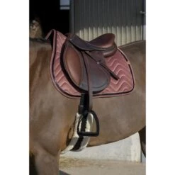 EQUITHÈME Schabracke Glossy Vielseitig Orange Warmblut -Waldhausen Verkaufe ekkia 204 761 013 ambi1.b3162b