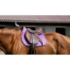 EQUITHÈME Schabracke Glossy Springen Grau Warmblut -Waldhausen Verkaufe ekkia 204 761 015 ambi1.d00779 3