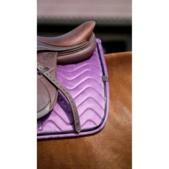 EQUITHÈME Schabracke Glossy Springen Violett Warmblut -Waldhausen Verkaufe ekkia 204 761 015 ambi2.731cbf 2