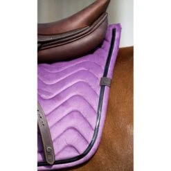 EQUITHÈME Schabracke Glossy Springen Violett Warmblut -Waldhausen Verkaufe ekkia 204 761 015 ambi3.bc7f38