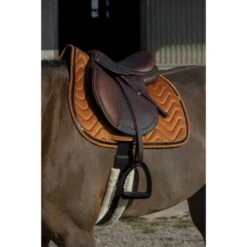 EQUITHÈME Schabracke Glossy Vielseitig Hellgrün Warmblut -Waldhausen Verkaufe ekkia 204 761 022 ambi1.a04797 3