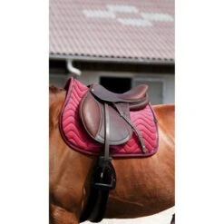 EQUITHÈME Schabracke Glossy Springen Violett Warmblut -Waldhausen Verkaufe ekkia 204 761 035 ambi1.d733c2 2