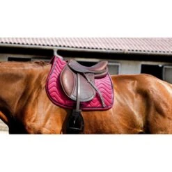 EQUITHÈME Schabracke Glossy Springen Violett Warmblut -Waldhausen Verkaufe ekkia 204 761 035 ambi2.57dfdb 2