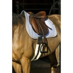 EQUITHÈME Schabracke Softy Jumping Dunkelgrün Warmblut -Waldhausen Verkaufe ekkia 204 763 012 ambi1 2.e4631e 8